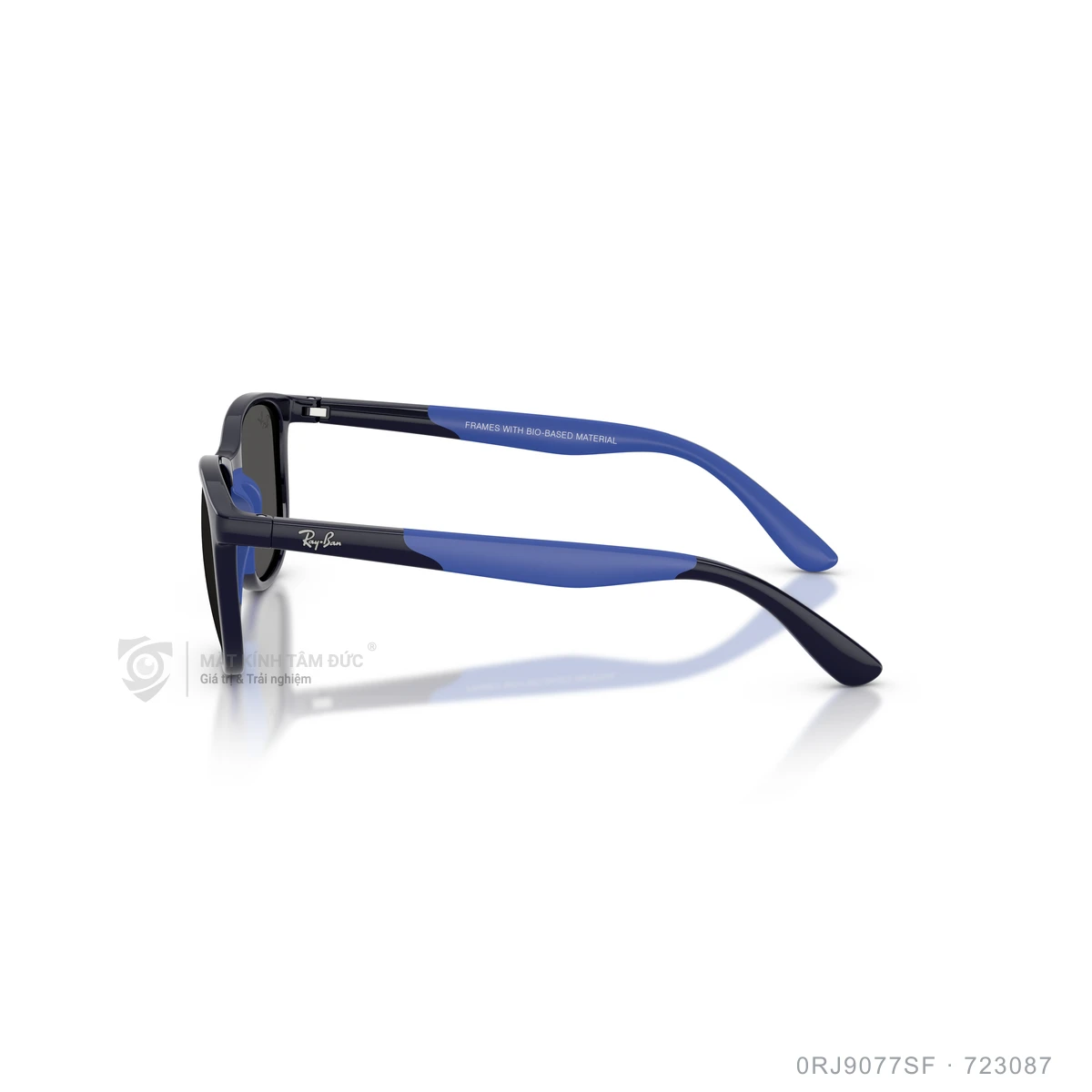 Kính mát Rayban 0RJ9077SF - Ảnh 4