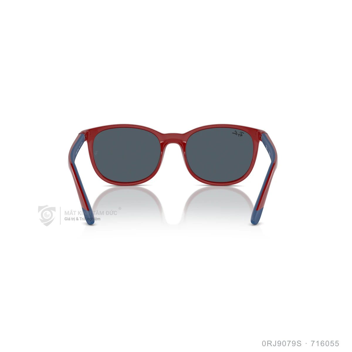 Kính mát Rayban 0RJ9079S - Ảnh 5