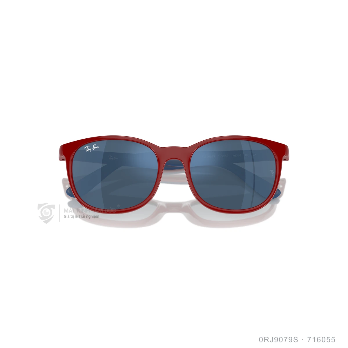 Kính mát Rayban 0RJ9079S - Ảnh 3