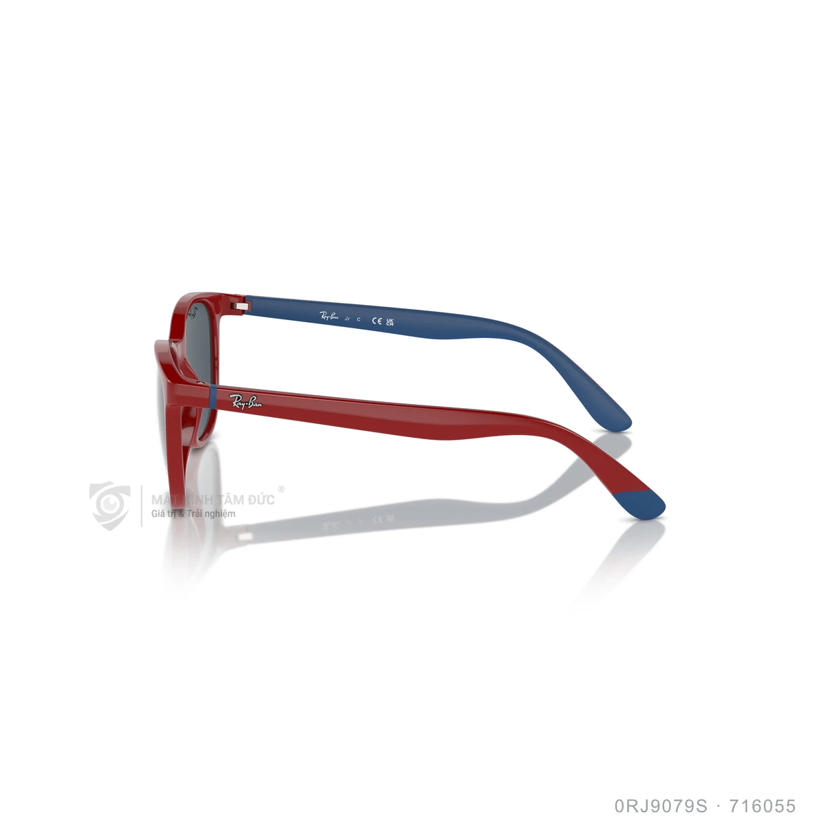 Kính mát Rayban 0RJ9079S - Ảnh 4