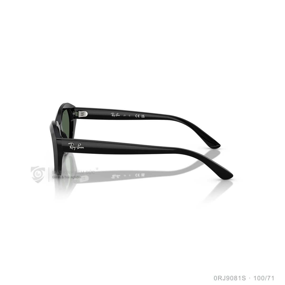 Kính mát Rayban 0RJ9081S - Ảnh 4