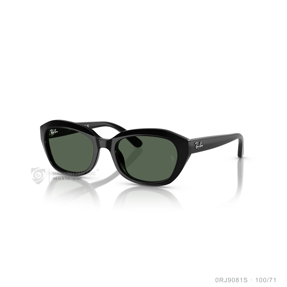 Chi tiết góc nghiêng Kính mát Rayban 0RJ9081S