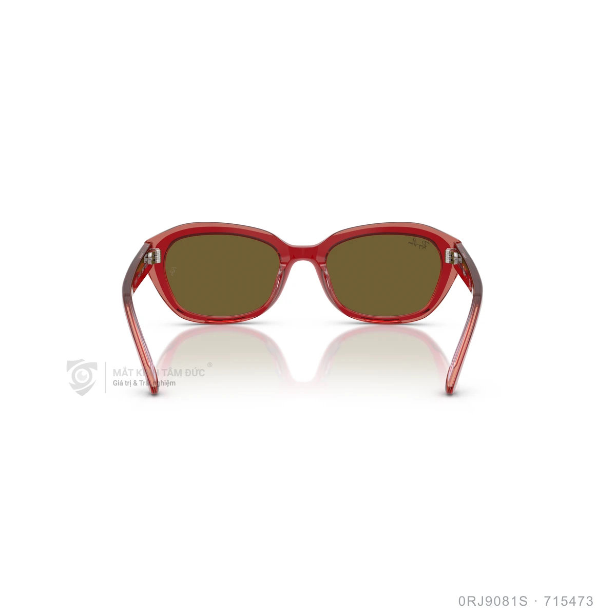 Kính mát Rayban 0RJ9081S - Ảnh 10