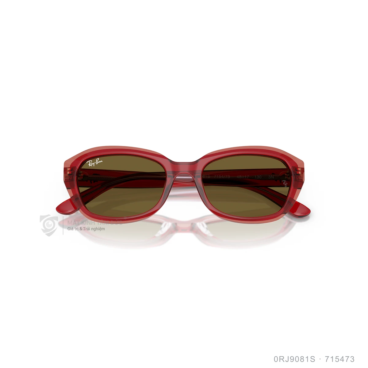 Kính mát Rayban 0RJ9081S - Ảnh 8
