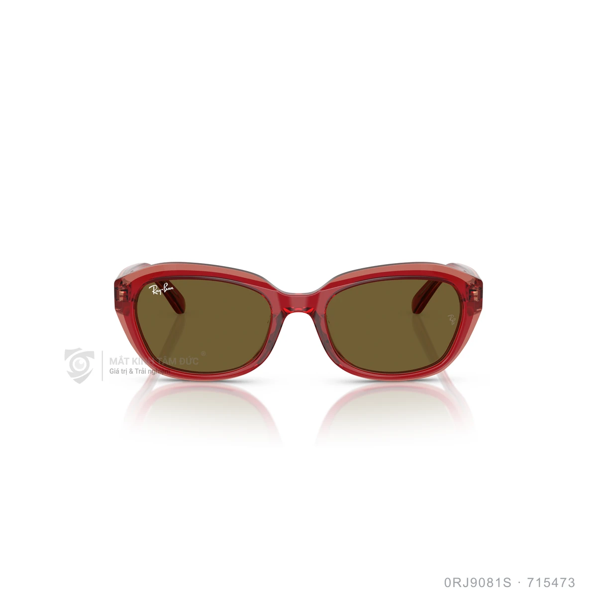 Kính mát Rayban 0RJ9081S - Ảnh 6