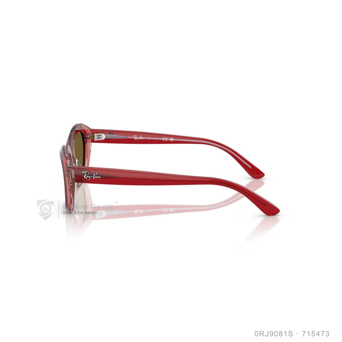 Kính mát Rayban 0RJ9081S - Ảnh 9