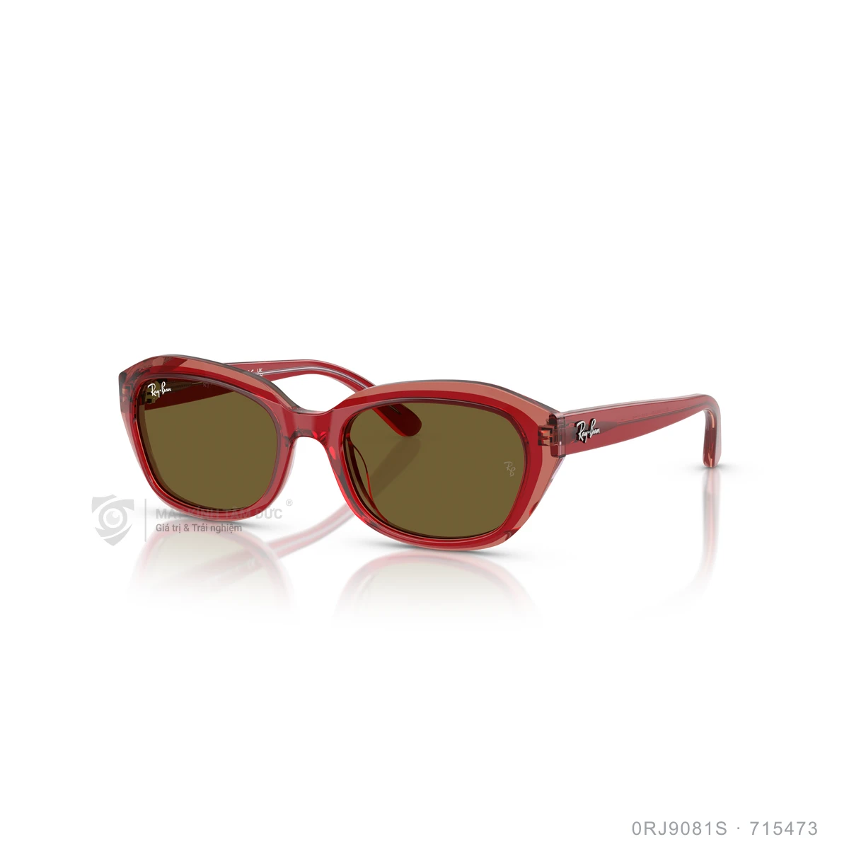 Kính mát Rayban 0RJ9081S - Ảnh 7