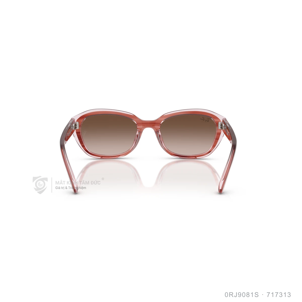 Kính mát Rayban 0RJ9081S - Ảnh 15