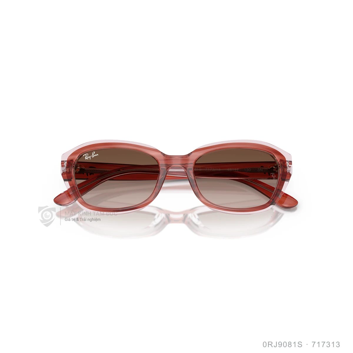 Kính mát Rayban 0RJ9081S - Ảnh 13