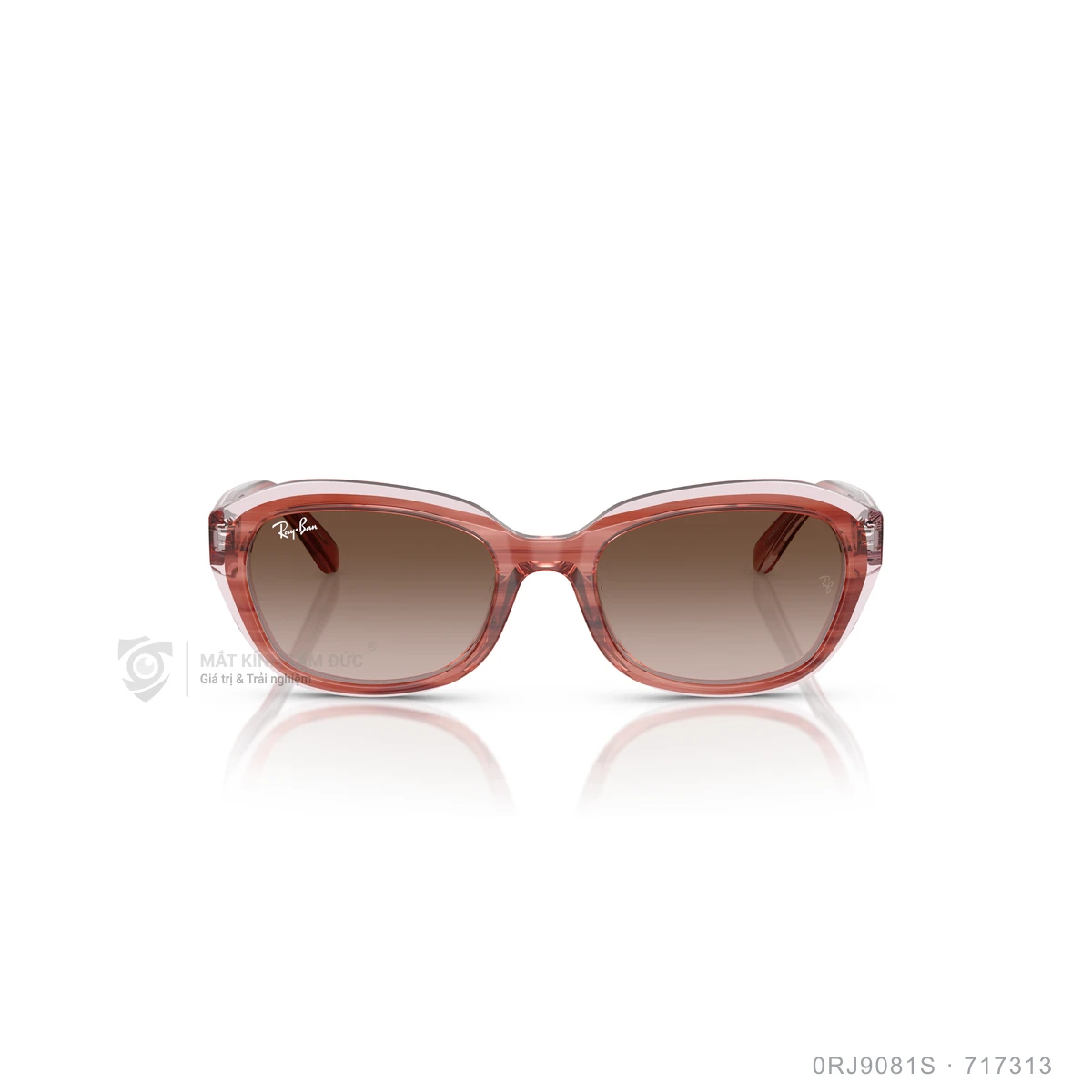 Kính mát Rayban 0RJ9081S - Ảnh 11