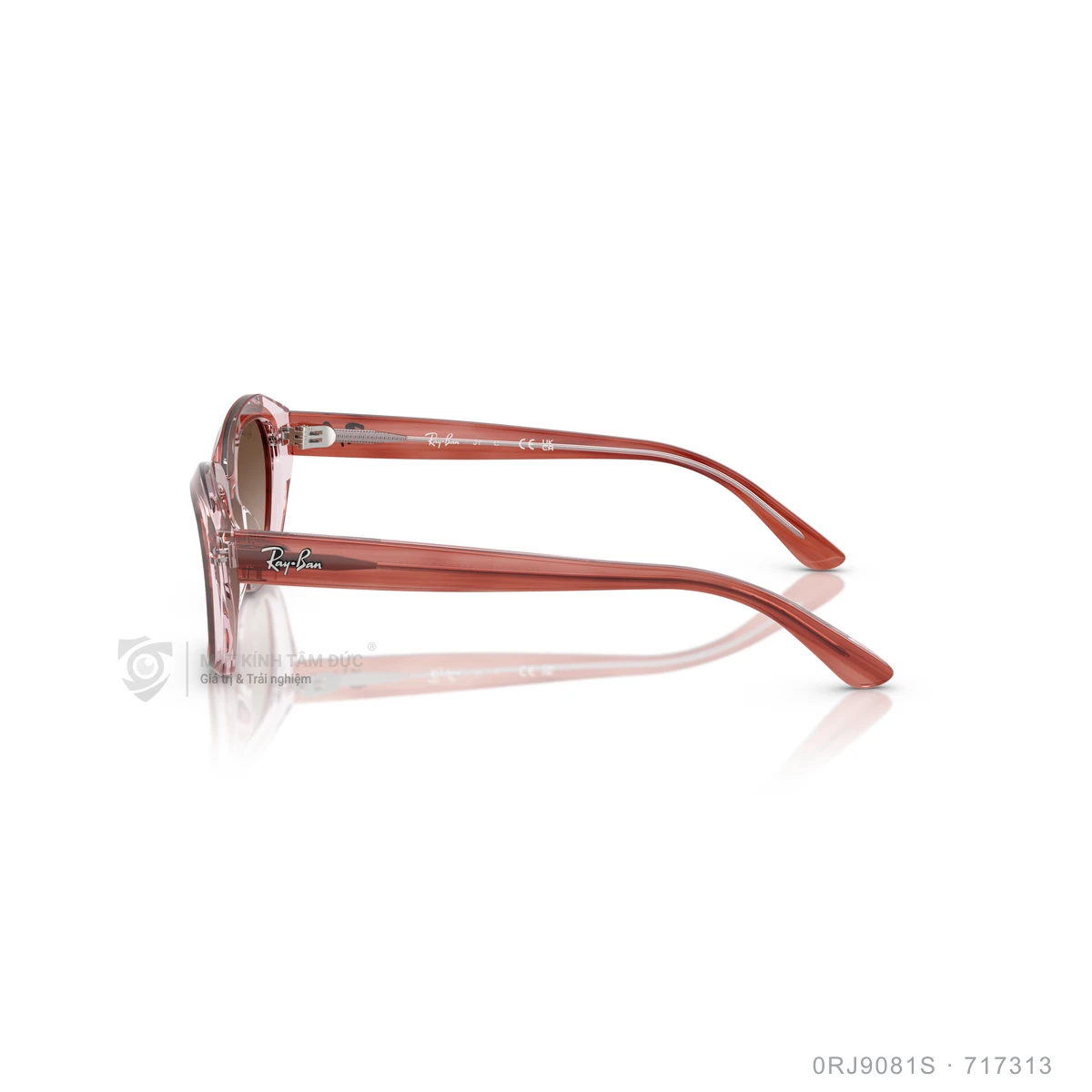 Kính mát Rayban 0RJ9081S - Ảnh 14