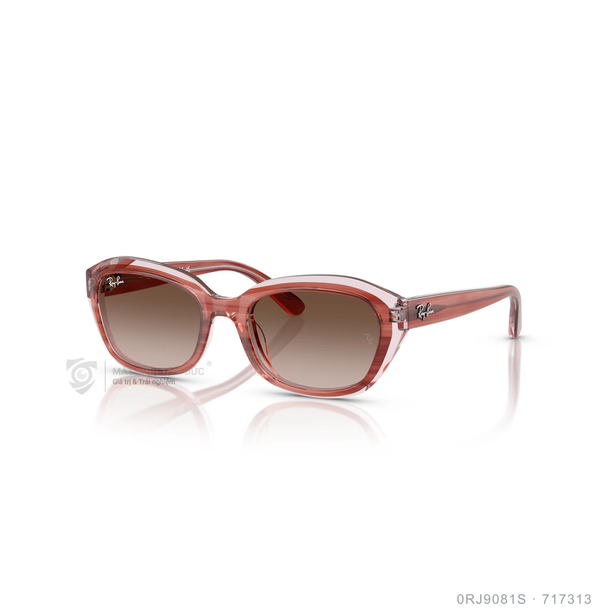 Kính mát Rayban 0RJ9081S - Ảnh 12