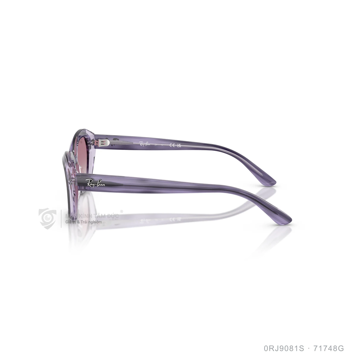 Kính mát Rayban 0RJ9081S - Ảnh 19