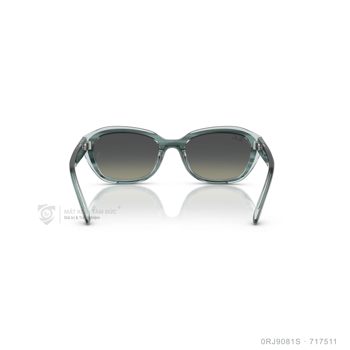 Kính mát Rayban 0RJ9081S - Ảnh 25