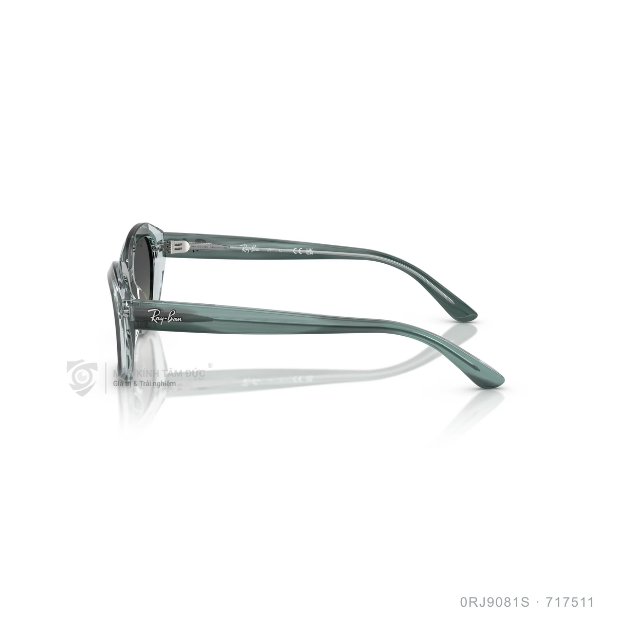 Kính mát Rayban 0RJ9081S - Ảnh 24