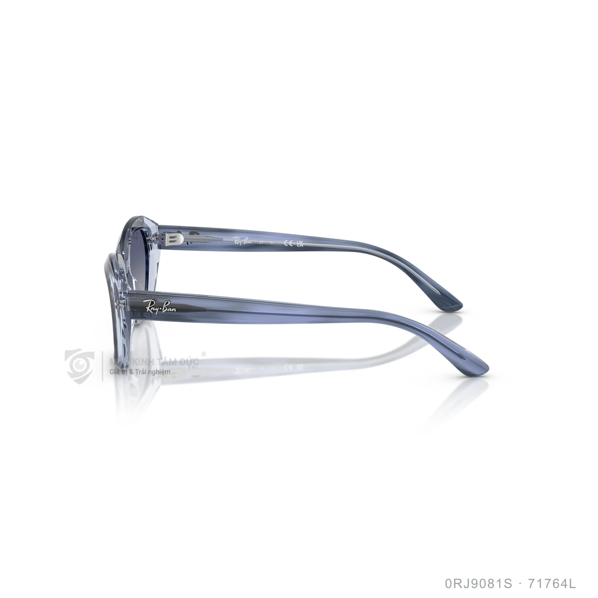 Kính mát Rayban 0RJ9081S - Ảnh 29