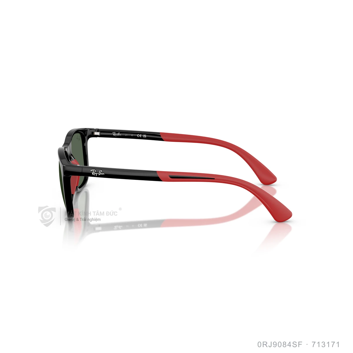 Kính mát Rayban 0RJ9084SF - Ảnh 4