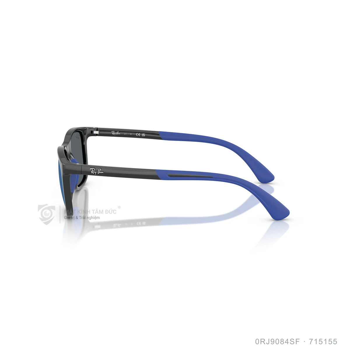 Kính mát Rayban 0RJ9084SF - Ảnh 14
