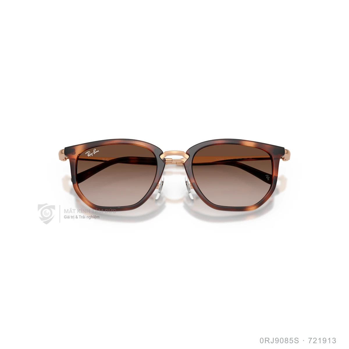 Kính mát Rayban 0RJ9085S - Ảnh 13