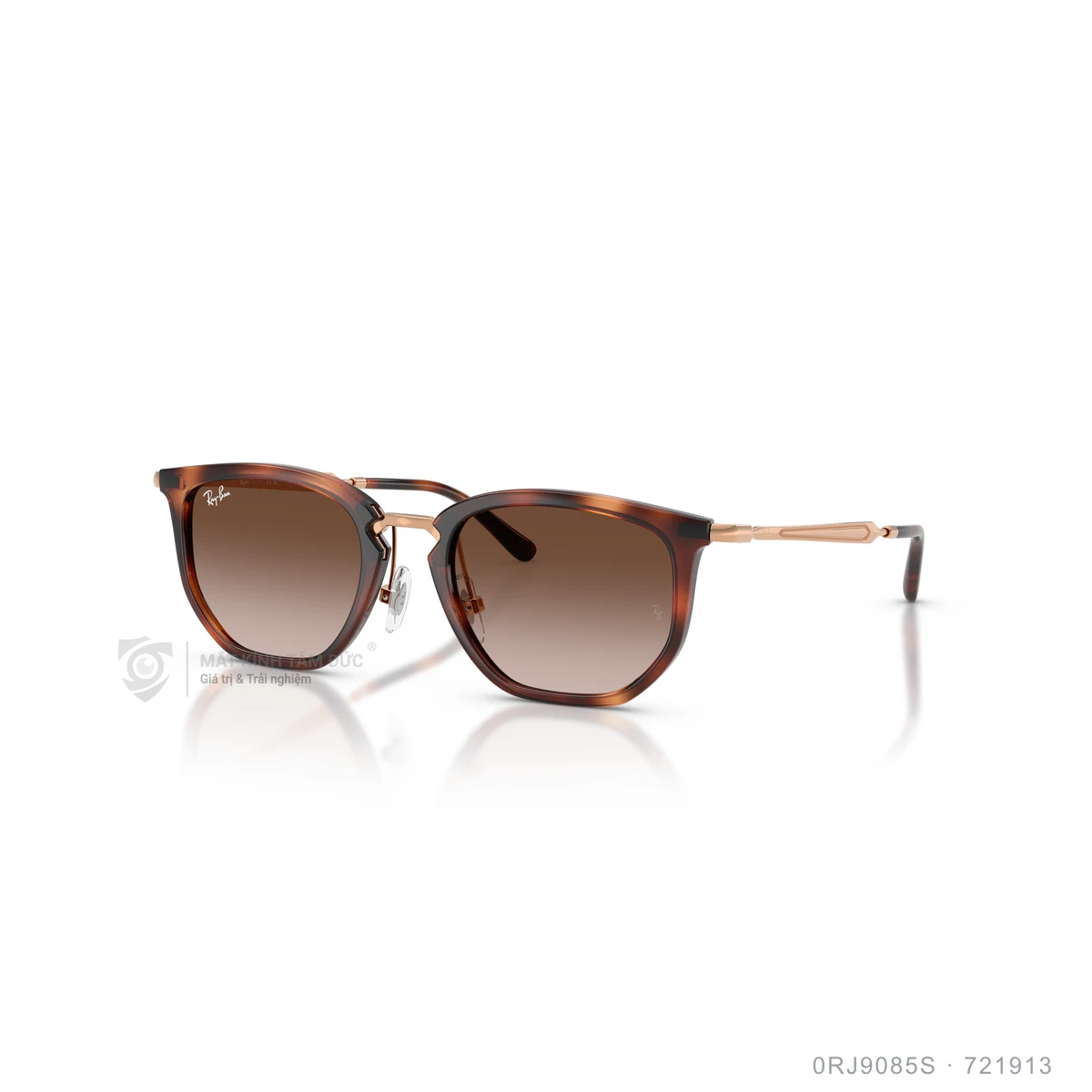 Kính mát Rayban 0RJ9085S - Ảnh 12