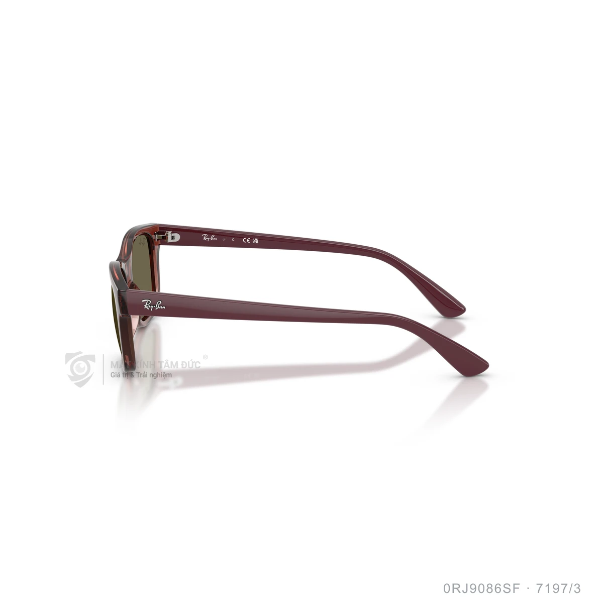Kính mát Rayban 0RJ9086SF - Ảnh 14