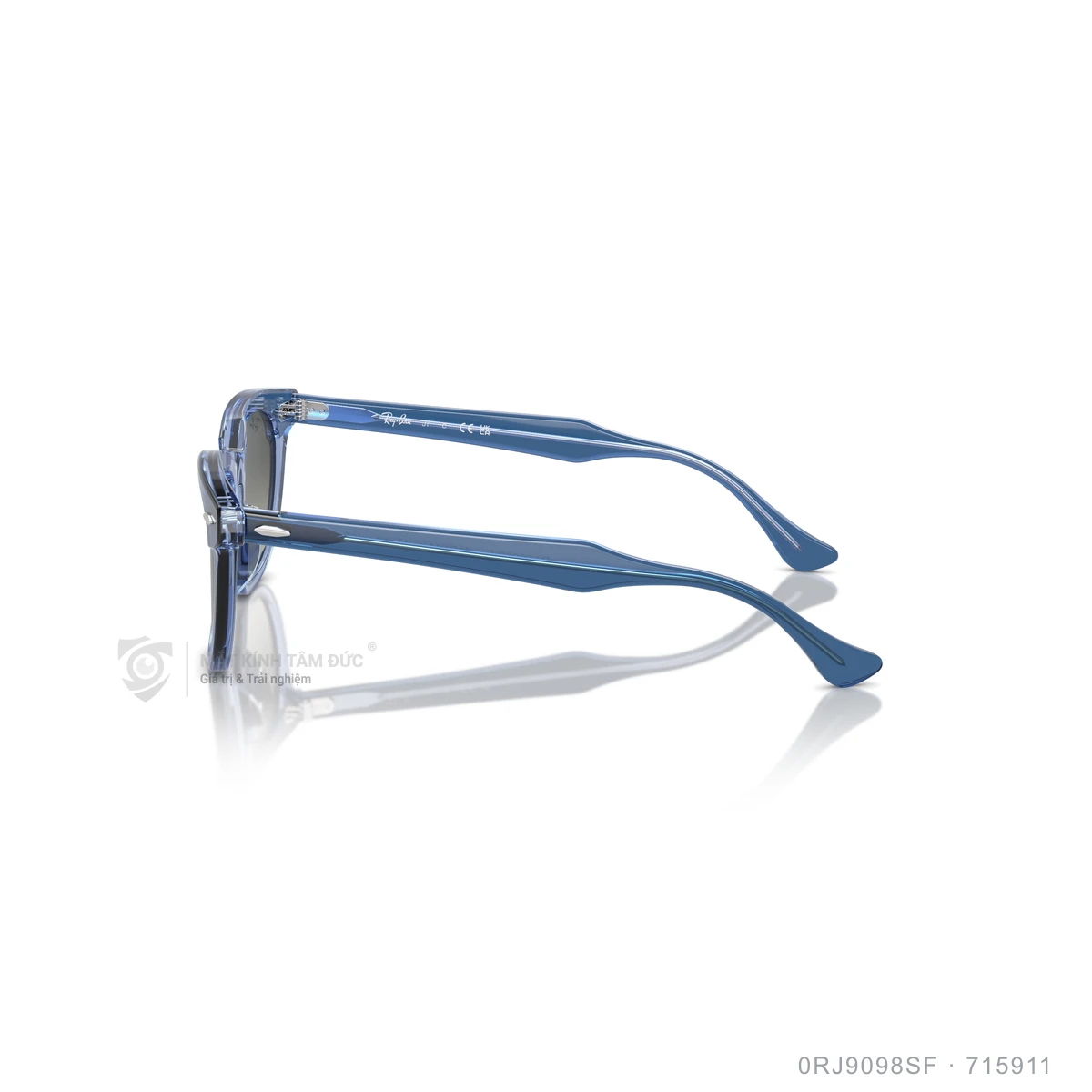 Kính mát Rayban 0RJ9098SF - Ảnh 14
