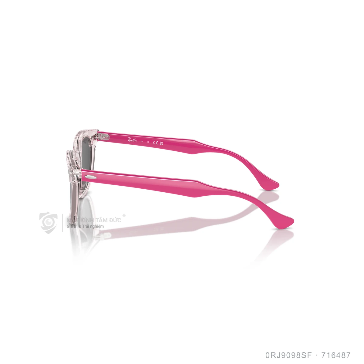 Kính mát Rayban 0RJ9098SF - Ảnh 19