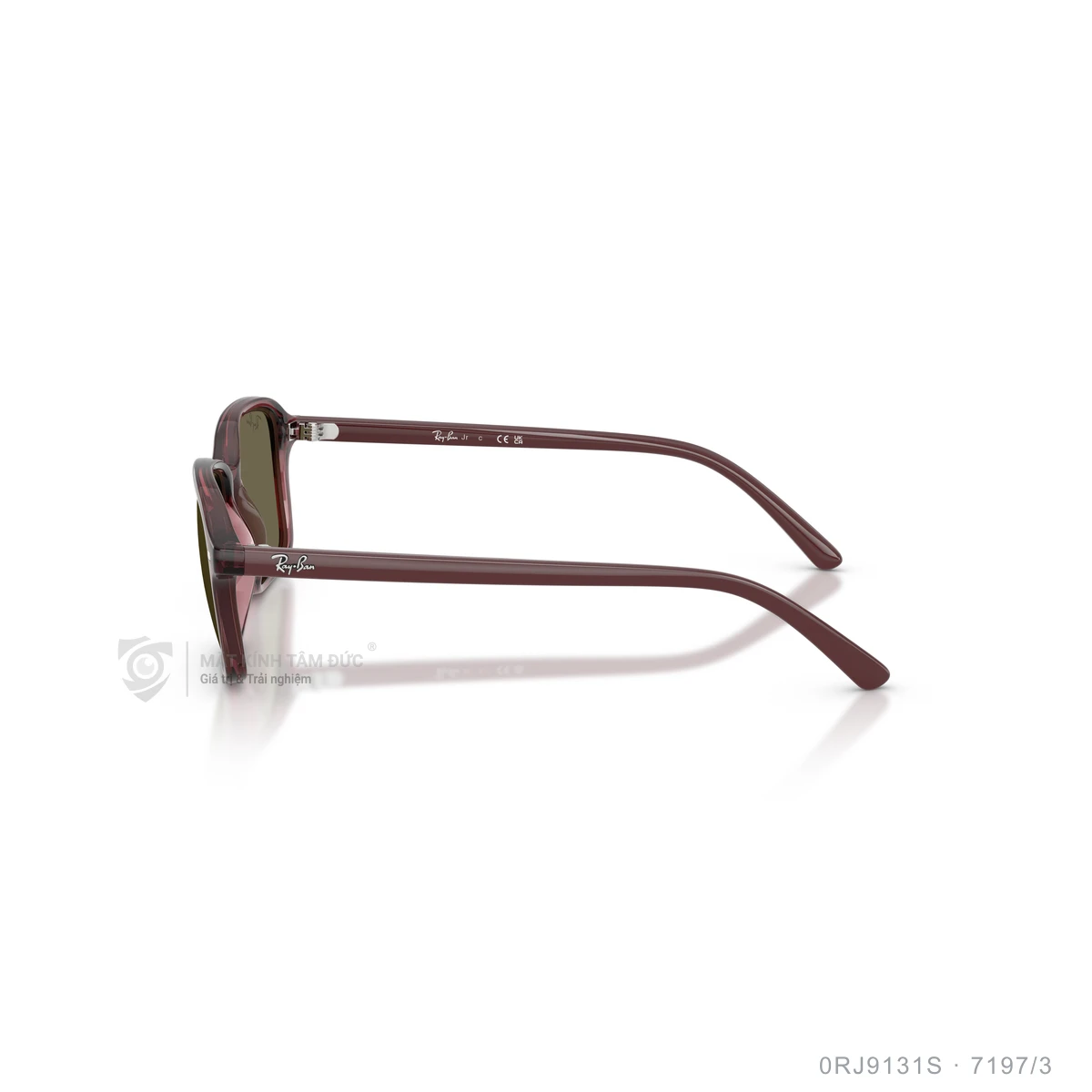 Kính mát Rayban 0RJ9131S - Ảnh 19