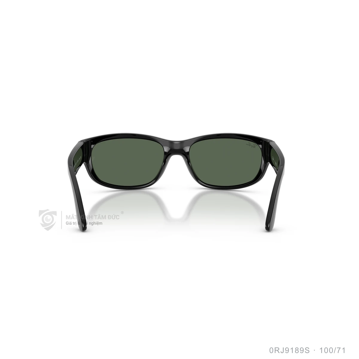Kính mát Rayban 0RJ9189S - Ảnh 5