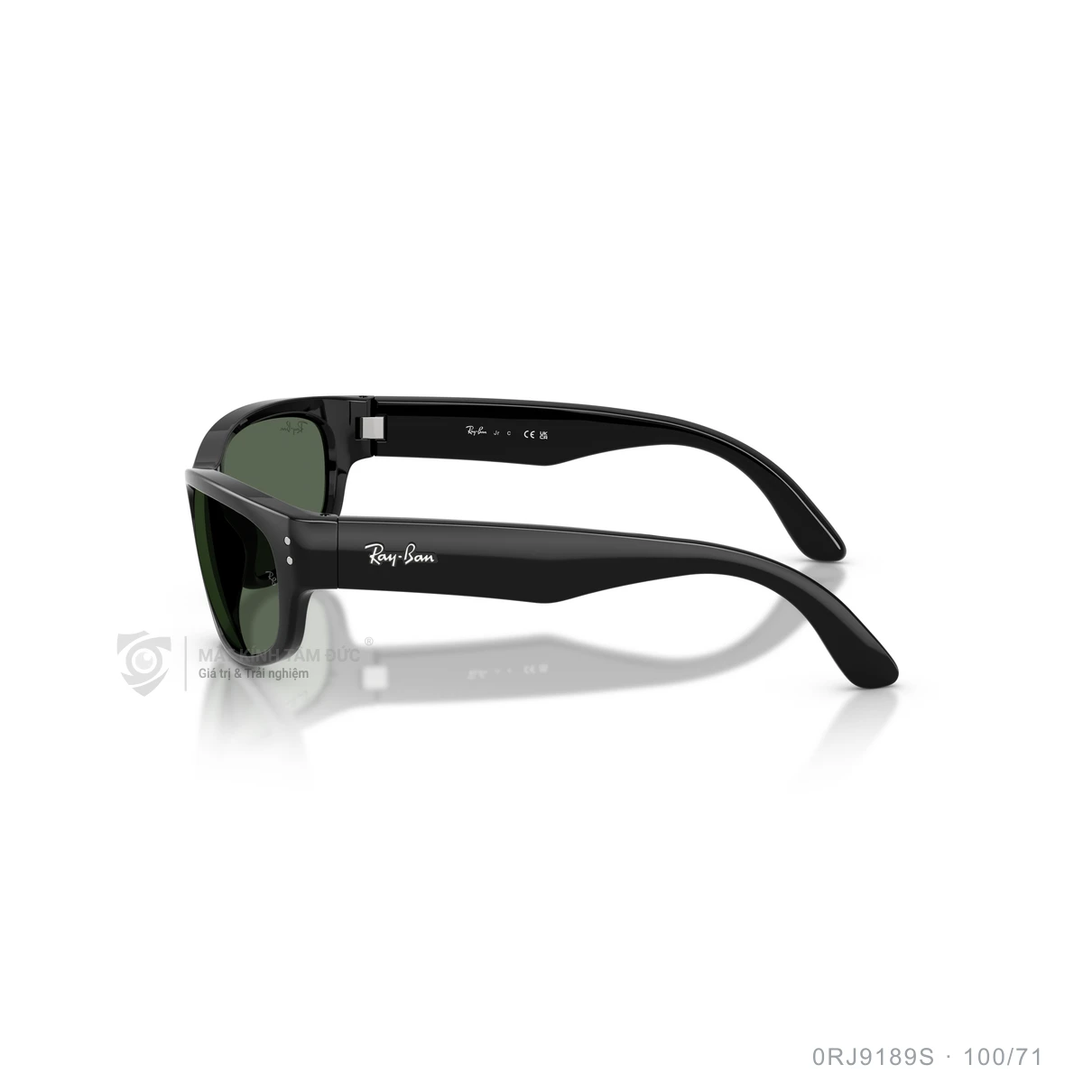 Kính mát Rayban 0RJ9189S - Ảnh 4