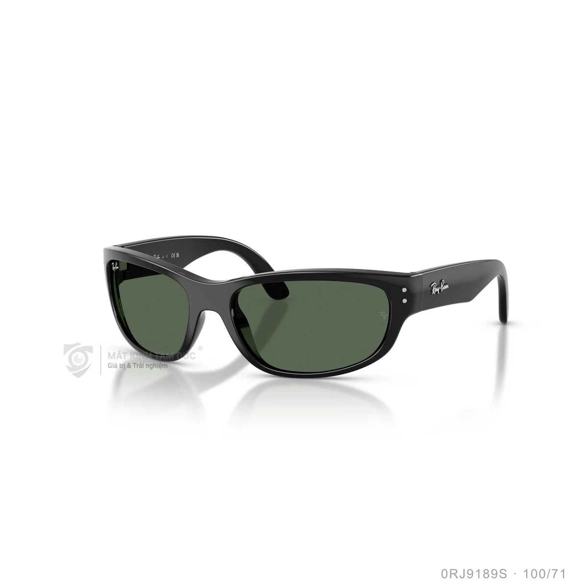 Chi tiết góc nghiêng Kính mát Rayban 0RJ9189S