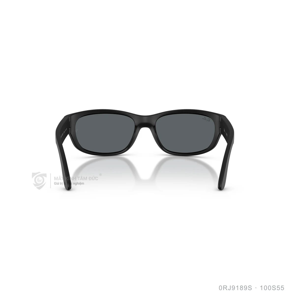 Kính mát Rayban 0RJ9189S - Ảnh 10