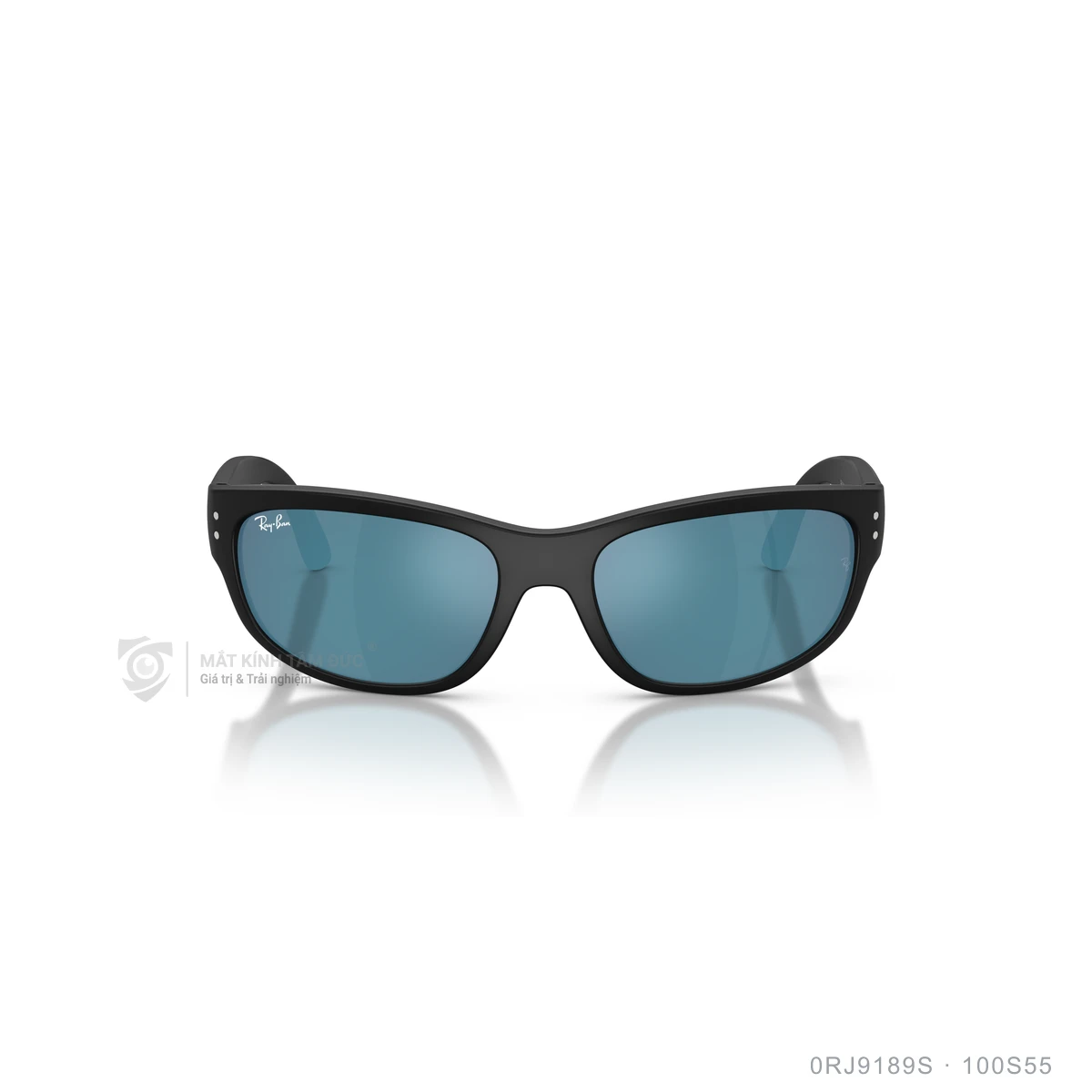Kính mát Rayban 0RJ9189S - Ảnh 6