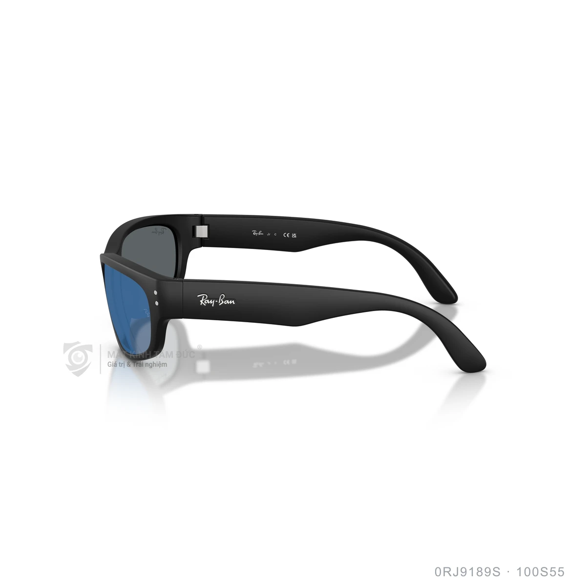 Kính mát Rayban 0RJ9189S - Ảnh 9