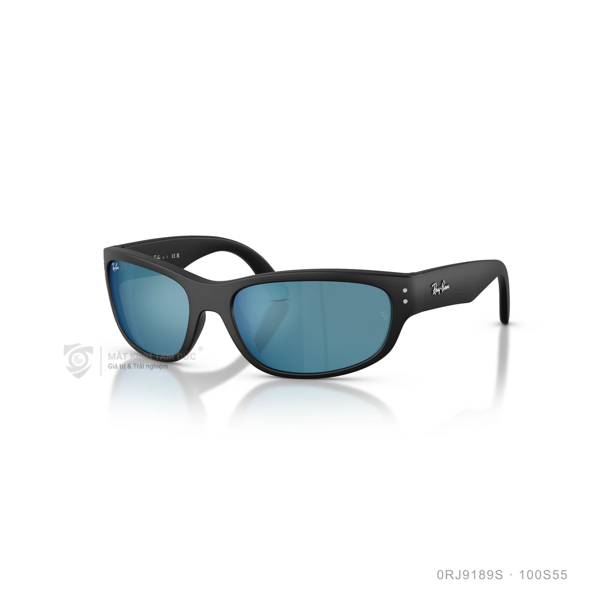 Kính mát Rayban 0RJ9189S - Ảnh 7