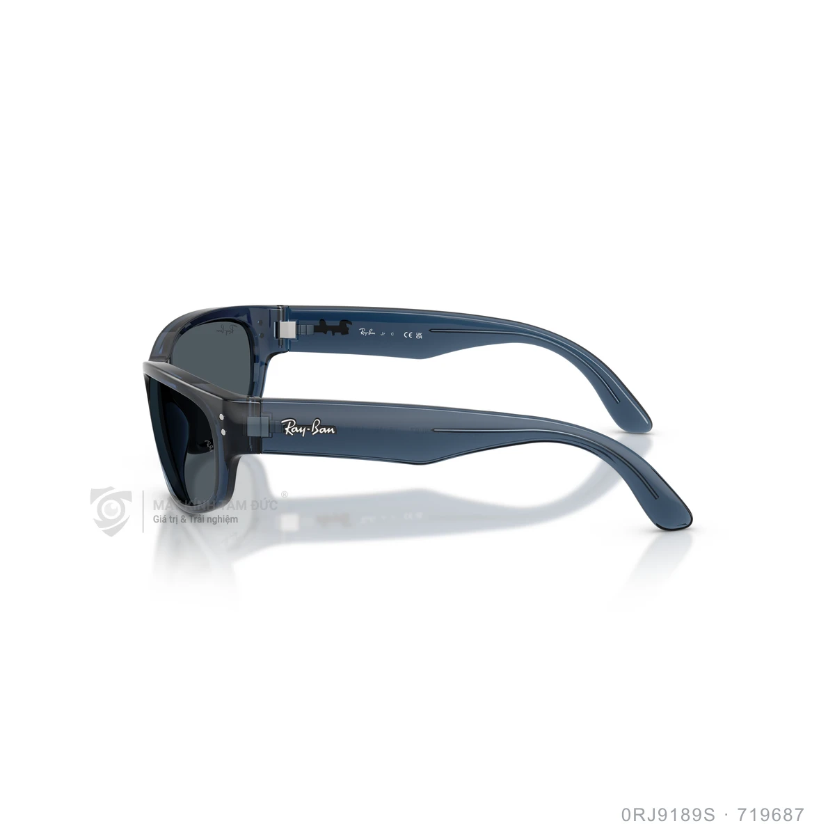 Kính mát Rayban 0RJ9189S - Ảnh 14