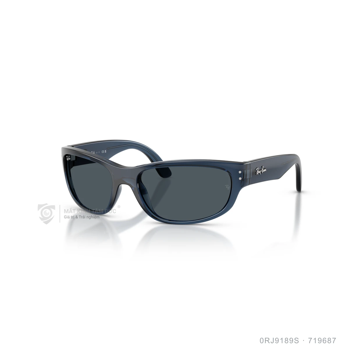 Kính mát Rayban 0RJ9189S - Ảnh 12