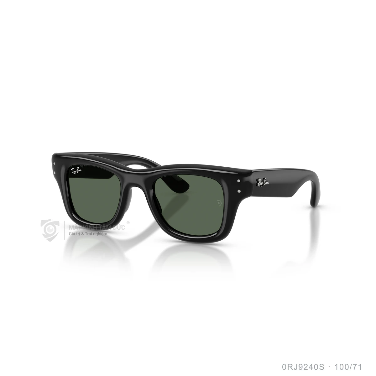 Chi tiết góc nghiêng Kính mát Rayban 0RJ9240S
