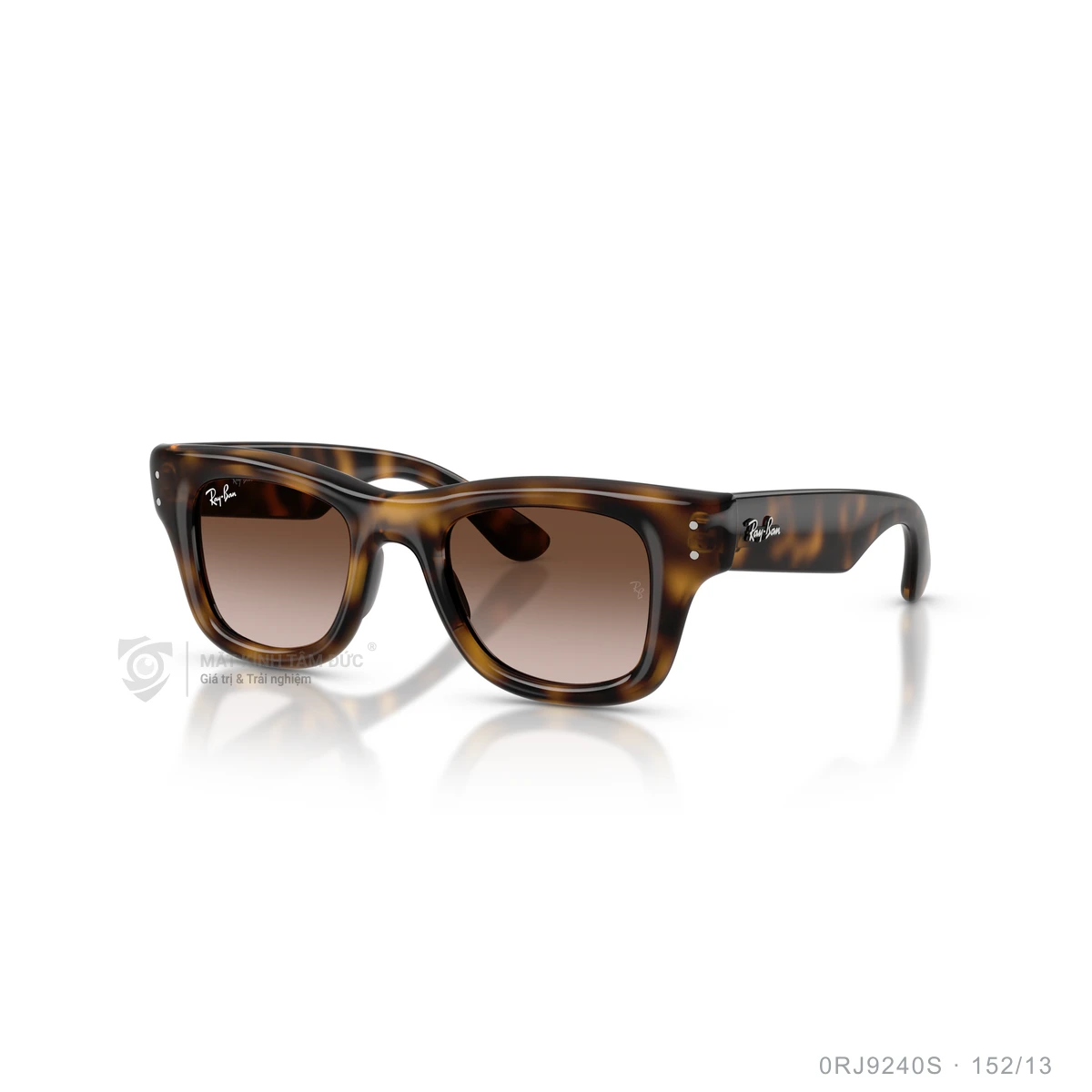 Kính mát Rayban 0RJ9240S - Ảnh 7