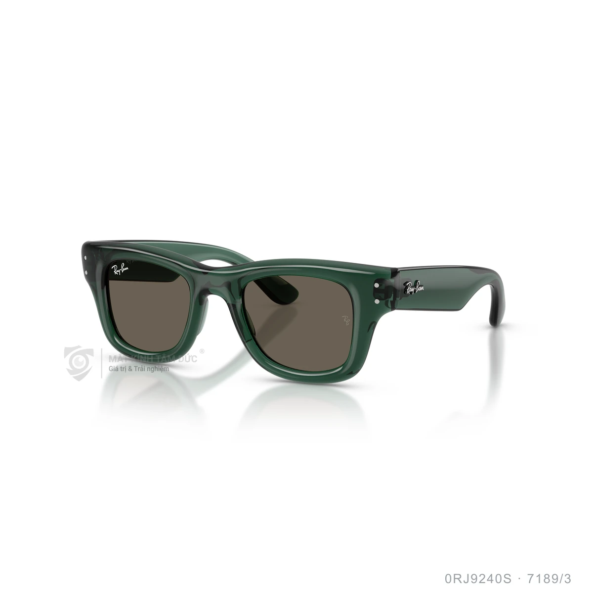 Kính mát Rayban 0RJ9240S - Ảnh 12