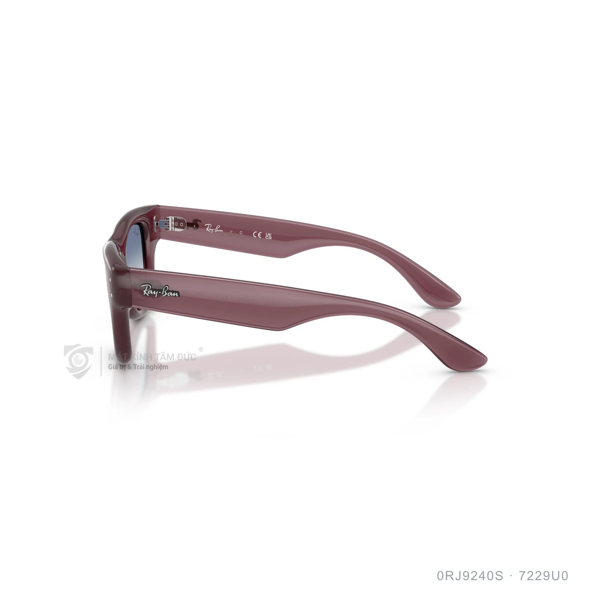Kính mát Rayban 0RJ9240S - Ảnh 24