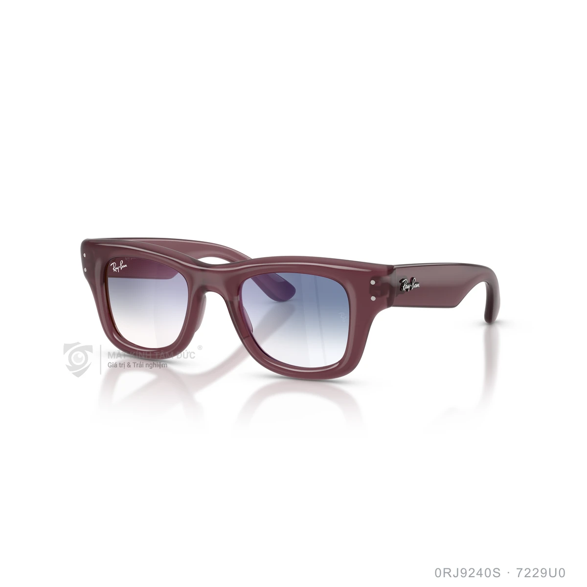 Kính mát Rayban 0RJ9240S - Ảnh 22