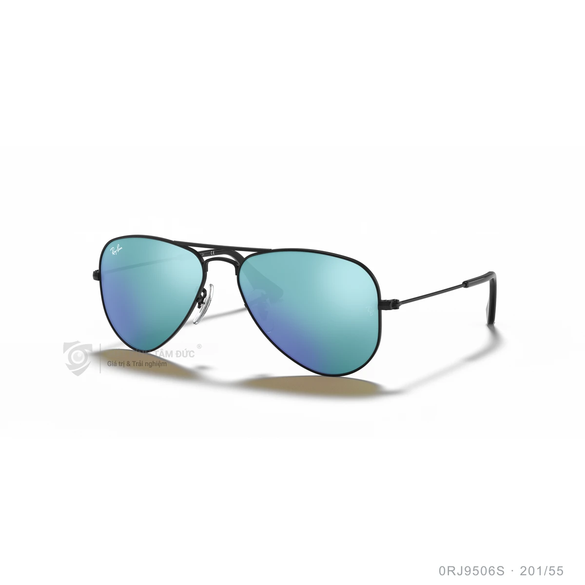 Kính mát Rayban 0RJ9506S - Ảnh 12