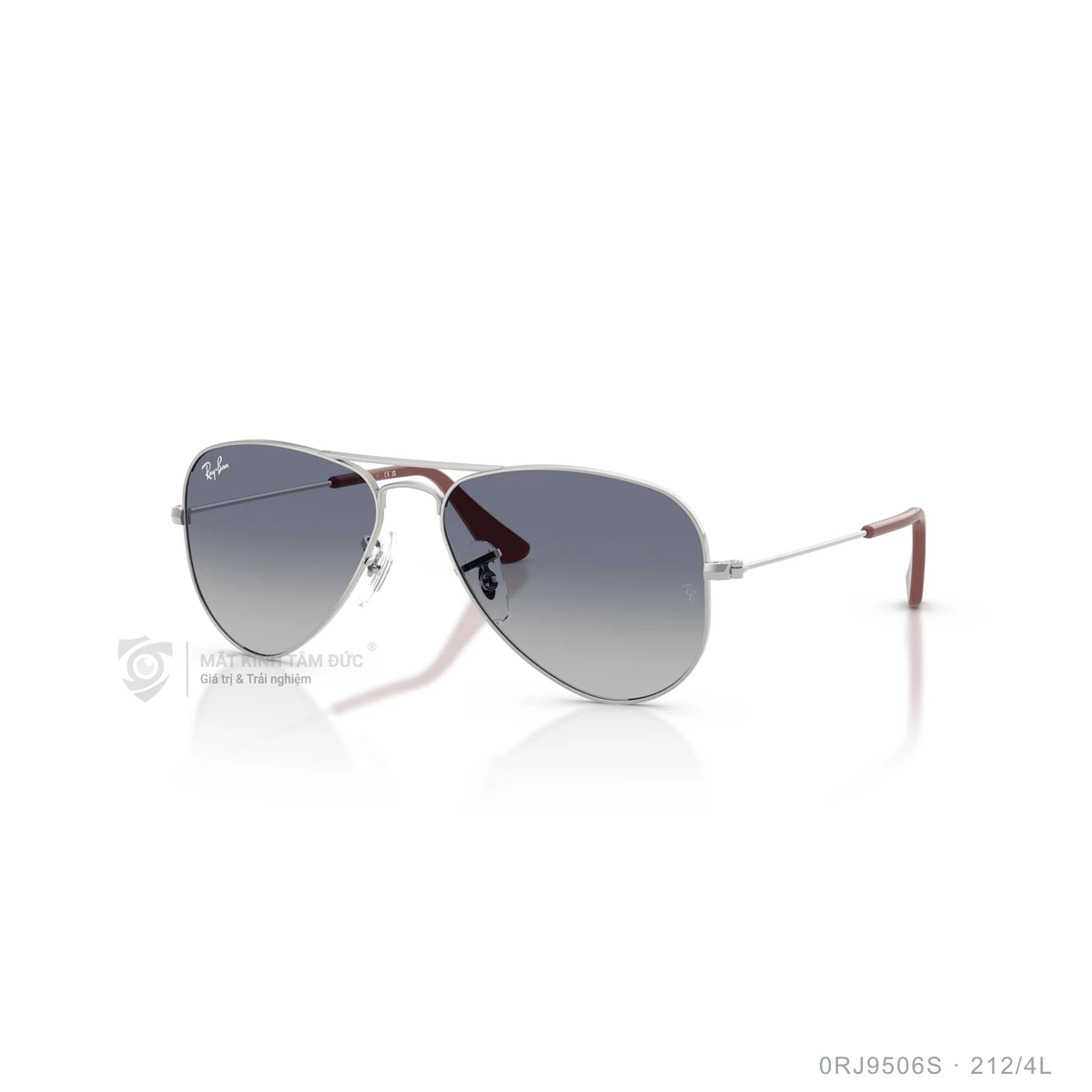 Kính mát Rayban 0RJ9506S - Ảnh 22
