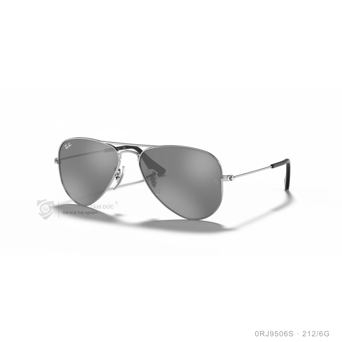 Kính mát Rayban 0RJ9506S - Ảnh 27