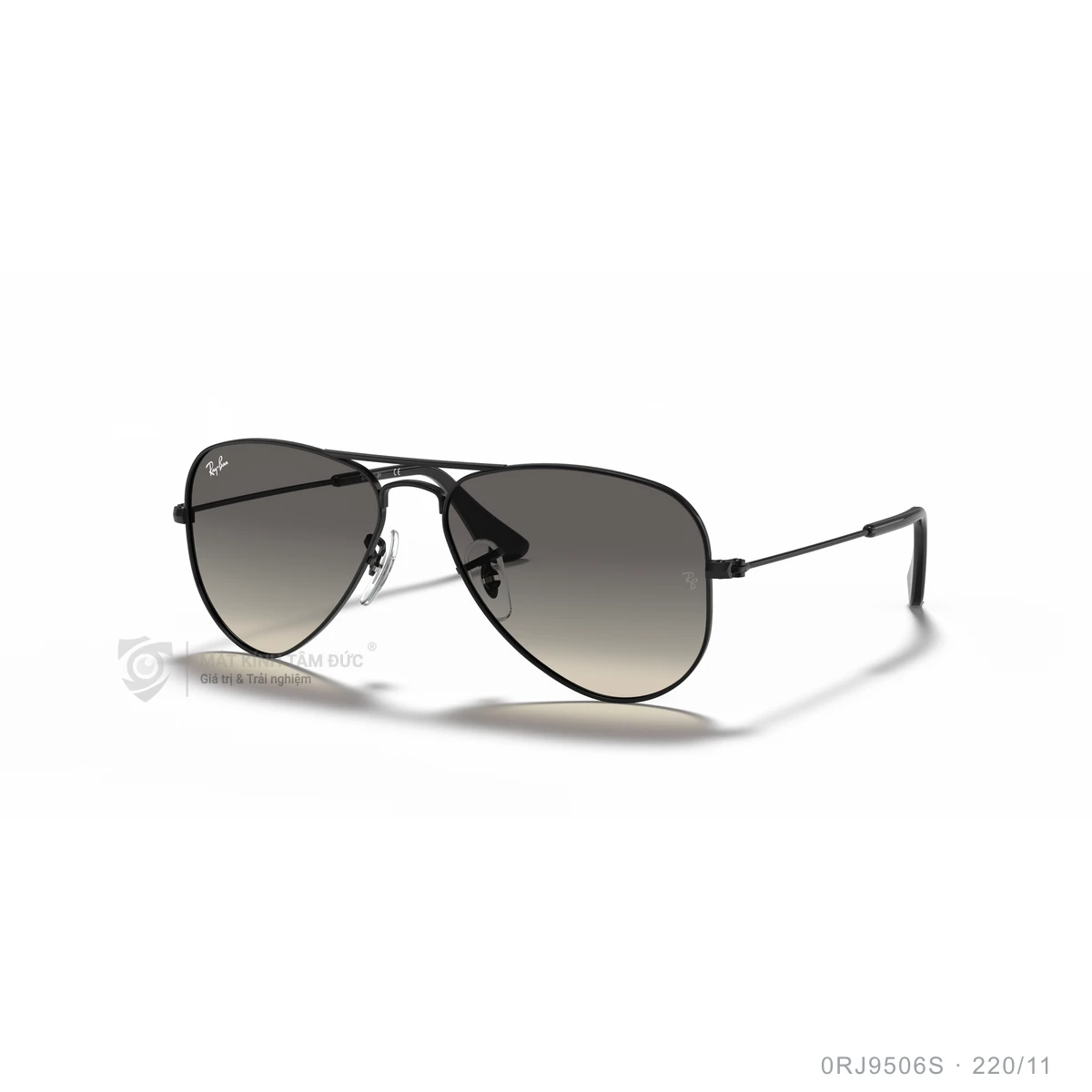 Kính mát Rayban 0RJ9506S - Ảnh 32