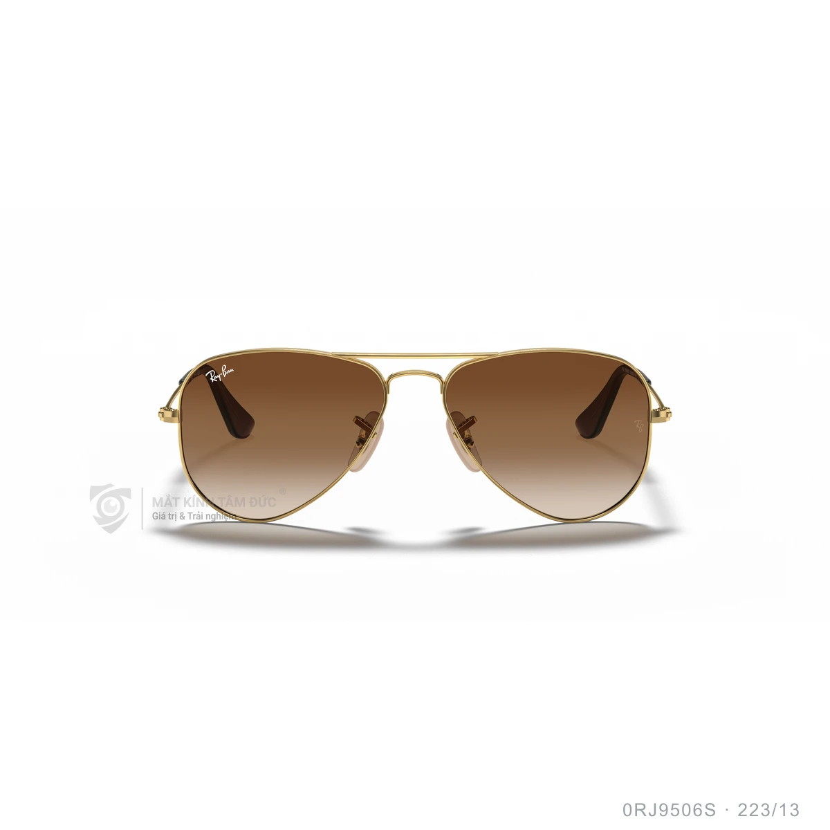 Kính mát Rayban 0RJ9506S - Ảnh 6