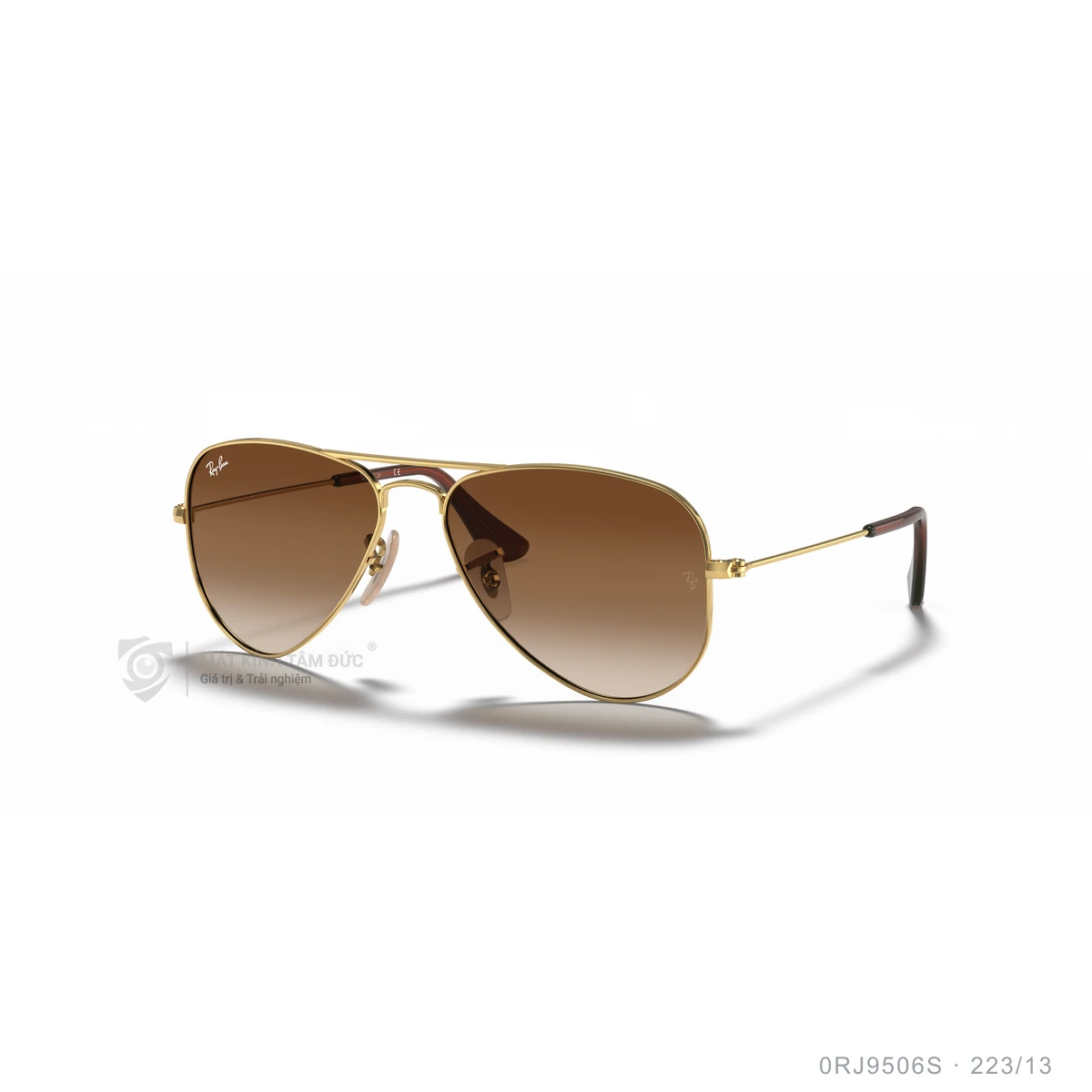 Kính mát Rayban 0RJ9506S - Ảnh 7