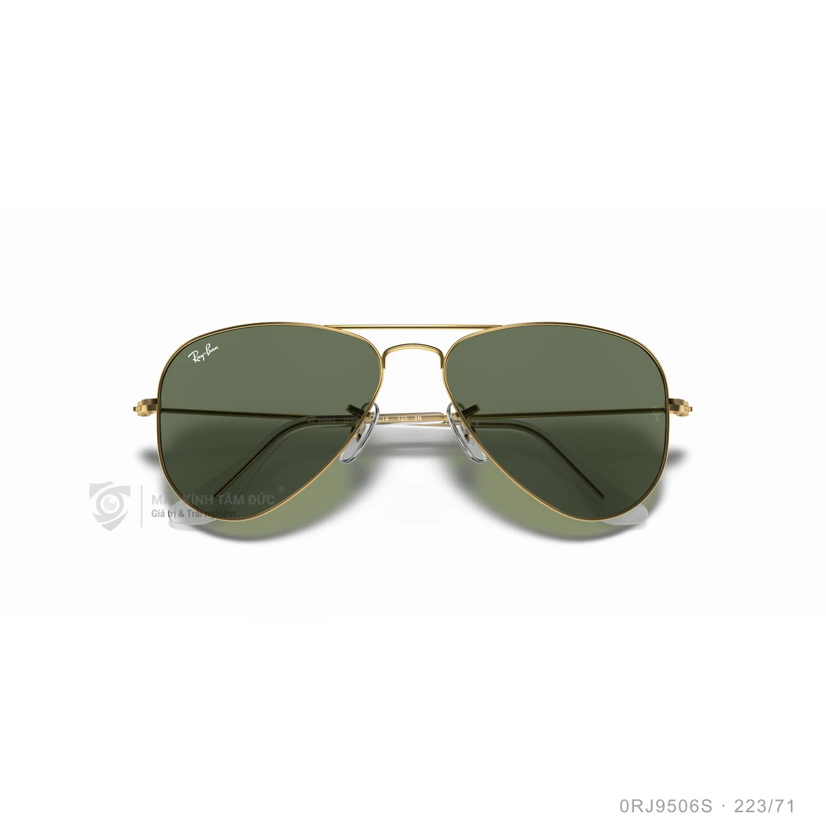 Kính mát Rayban 0RJ9506S - Ảnh 48