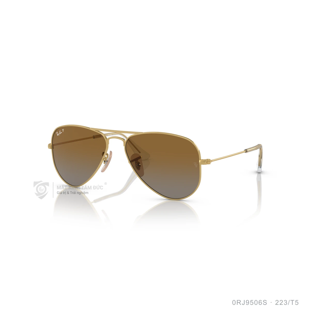 Kính mát Rayban 0RJ9506S - Ảnh 57
